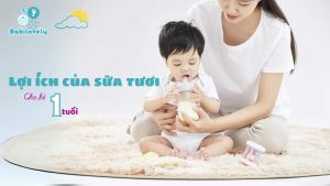 Sữa cho bé 1 tuổi Babilovely